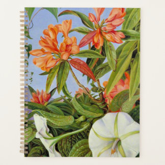 Un Rhododendrum et Ipomoea de Java