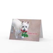 "Un Rose pour vous" toutes les occasions carte de 