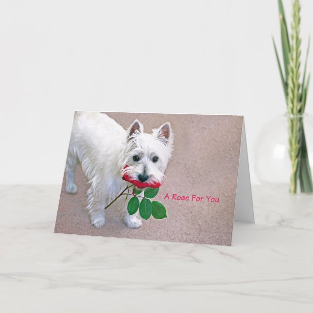 "Un Rose pour vous" toutes les occasions carte de  (Devant)