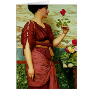 Un rose rouge et rouge