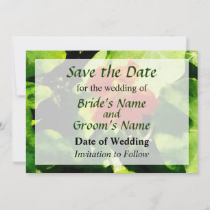 Un Save the Date au Nénuphar Orange