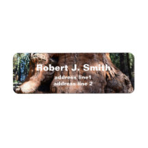 Un séquoia géant tronc étiquettes de adresse perso