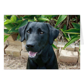 Un superbe labo avec un grand message !