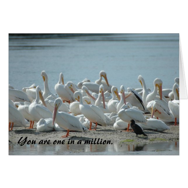UN SUR UN MILLION : CARTE (Devant horizontal)