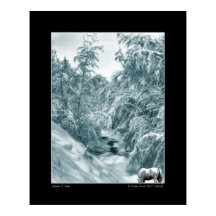 Un verre de Hall's Brook - Poster d'art