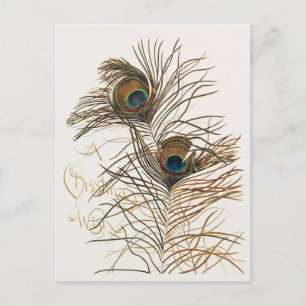 Un voeu de Noël avec une carte de vacances Tropica