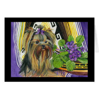 Un Yorkie appelé Violet