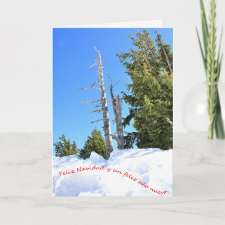 Una escena de invierno para la Navidad. Español 2 Feiertagskarte