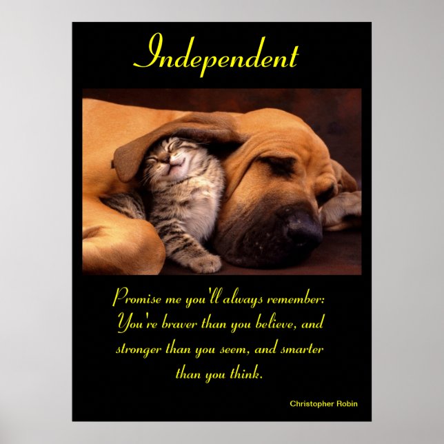 Unabhängige Poster Tier 10 (Vorne)