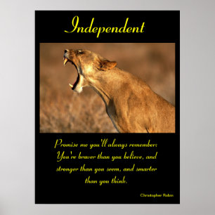 Unabhängige Poster Tier 19