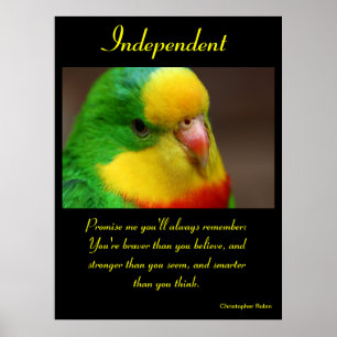 Unabhängige Poster Tier 21