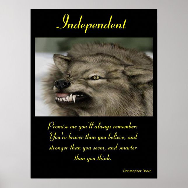 Unabhängige Poster Tier 30 (Vorne)