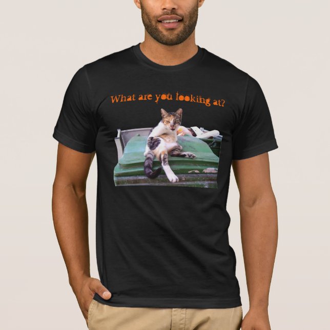 Unabhängige Straßenkatze T-Shirt (Vorderseite)