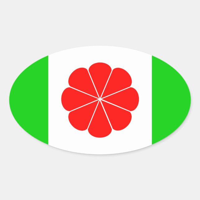 Unabhängigkeitsflagge in Taiwan Ovaler Aufkleber (Vorderseite)