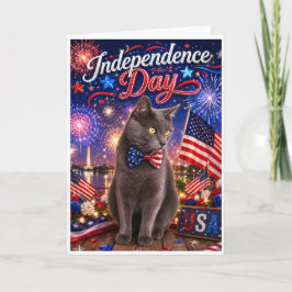 Unabhängigkeitstag Feuerwerk Katze Grußkarte Karte