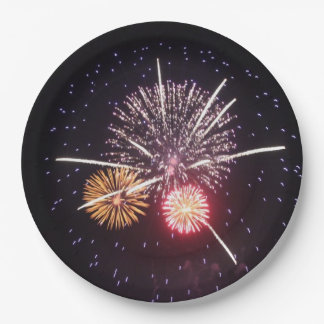 Unabhängigkeitstag-Feuerwerk-PapierTeller Pappteller