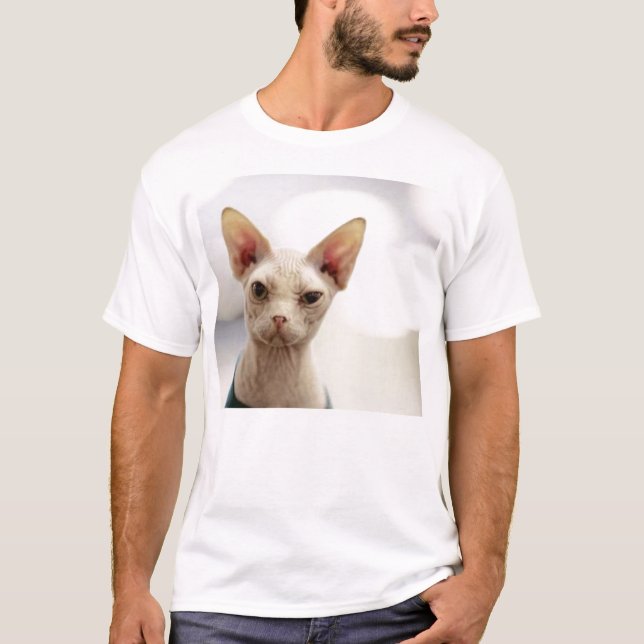 unbehaarte Miezekatze T-Shirt (Vorderseite)
