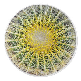 Unbehaglicher Arid Cactus Keramikknauf