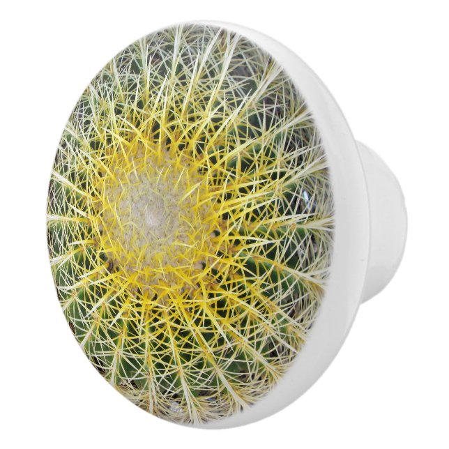 Unbehaglicher Arid Cactus Keramikknauf (Rechts)