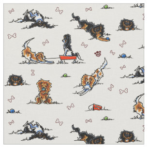 Unbekümmerte CKCS Spaniels des Spielplatz-weiß Stoff