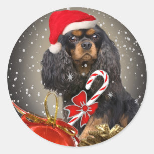 Unbekümmerte Geschenke Königs Charles Sankt Runder Aufkleber