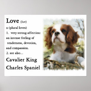 Unbekümmerte Königcharles Spaniel-Geschenke Poster