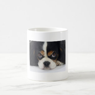 Unbekümmerte Königcharles Spaniel-Kaffeetasse Kaffeetasse