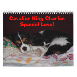 Unbekümmerte Königcharles Spaniel-Liebe! Kalender