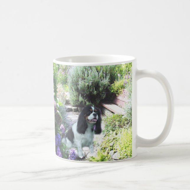 Unbekümmerte Königcharles Spaniel-Savvy Kaffeetasse (Rechts)