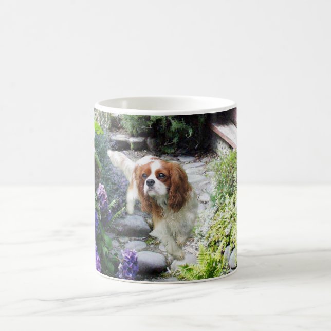 Unbekümmerte Königcharles Spaniel-Tasse Kaffeetasse (Mittel)