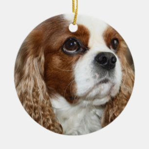 Unbekümmerte Königcharles Spaniel-Verzierung Keramikornament
