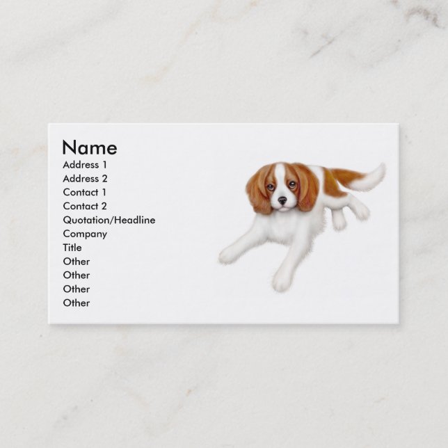 Unbekümmerte Königcharles Spaniel-Visitenkarte Visitenkarte (Vorderseite)