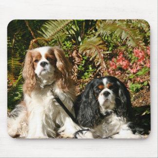 Unbekümmerte Spaniels Mousepad
