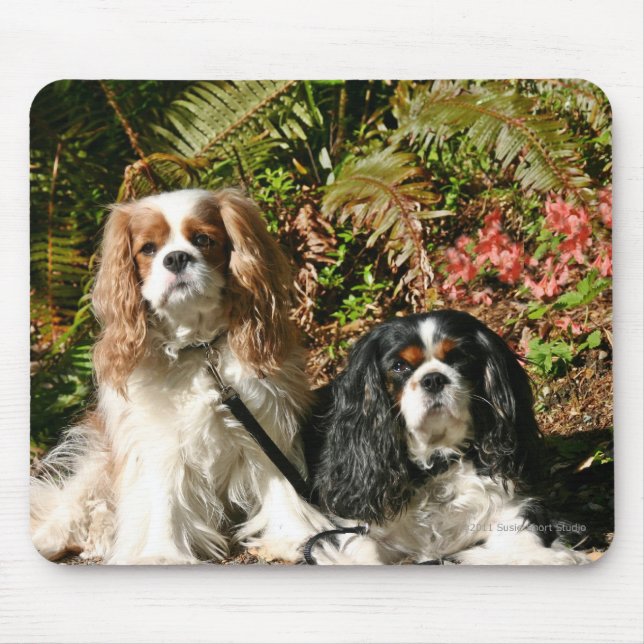 Unbekümmerte Spaniels Mousepad (Vorne)
