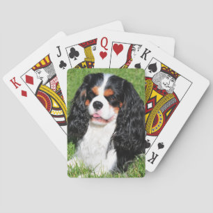 Unbekümmerte Spielkarten König-Charles Tri Farbe