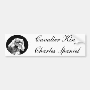 Unbekümmerter König Charles Spaniel-Autoaufkleber Autoaufkleber