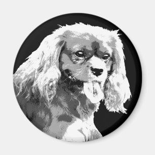 Unbekümmerter König Charles Spanielmagnet Magnet