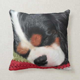 Unbekümmerter König Charles Tri Farbe Pillow Kissen