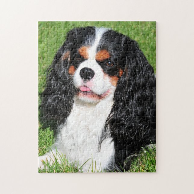 Unbekümmerter König Charles Tri Farbe Puzzle (Vertikal)