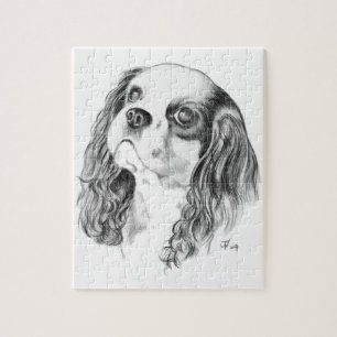 Unbekümmerter Königcharles Spaniel