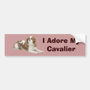 Unbekümmerter Königcharles Spaniel-Autoaufkleber Autoaufkleber