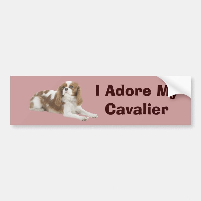 Unbekümmerter Königcharles Spaniel-Autoaufkleber Autoaufkleber (Vorne)