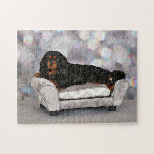 Unbekümmerter Königcharles Spaniel - Cornelius