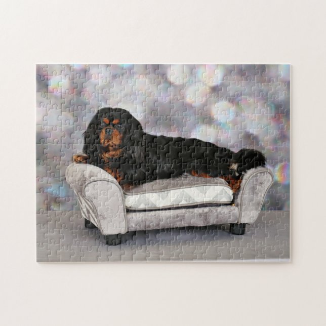 Unbekümmerter Königcharles Spaniel - Cornelius (Horizontal)