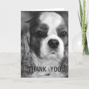 Unbekümmerter Königcharles Spaniel danken Ihnen zu Dankeskarte