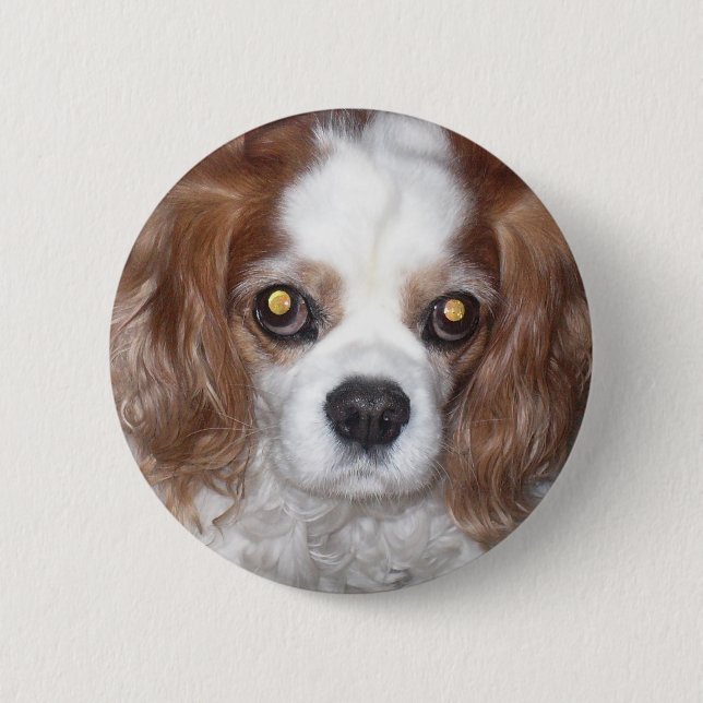 UNBEKÜMMERTER KÖNIGcharles SPANIEL-HUND Button (Vorderseite)