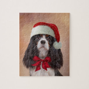 Unbekümmerter Königcharles Spaniel im roten Hut