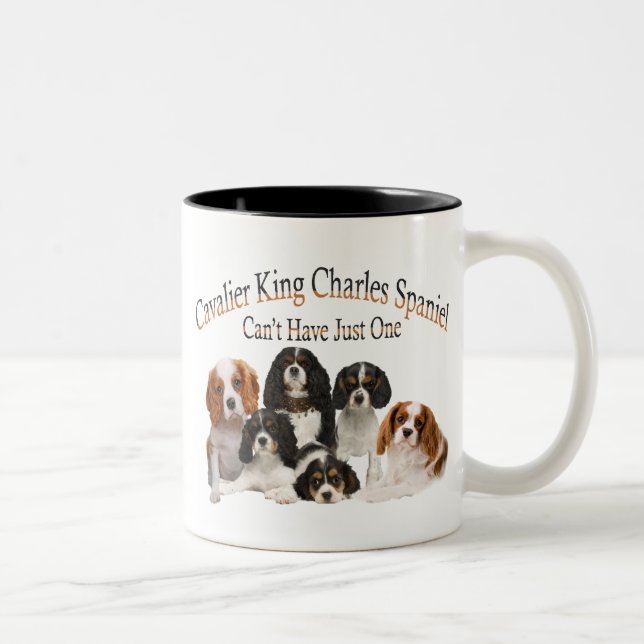 Unbekümmerter Königcharles Spaniel kann gerade ein Zweifarbige Tasse (Rechts)