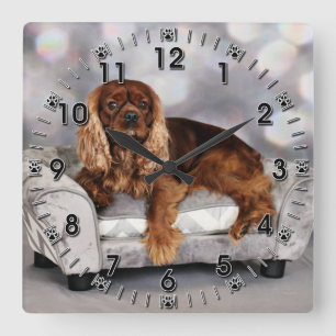 Unbekümmerter Königcharles Spaniel - Keesje Quadratische Wanduhr