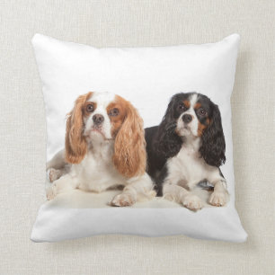 Unbekümmerter Königcharles Spaniel Kissen
